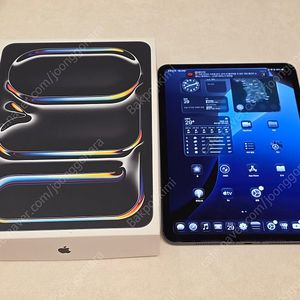 아이패드 프로11인치 M4 256GB 셀룰러 자급제