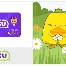 cu 5000 원권