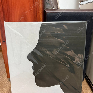 크러쉬 (Crush) with HER lp 새상품 판매
