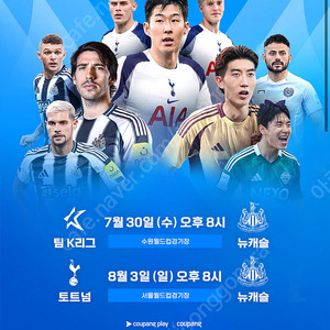 토트넘 vs 뉴캐슬 2등석B 단석 (동반입장) 팝니다