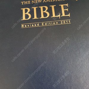 The New American Bible 대 성경