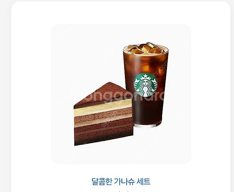 스타벅스 카페 아메리카노 T + 진한 가나슈 9 레이어...--0