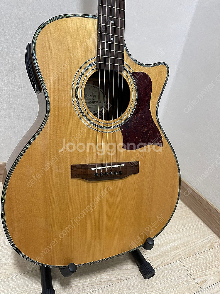 펜더 DG-26 CE 어쿠스틱 기타 (픽업, EQ) 팝...--1