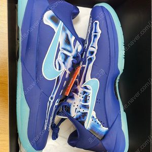 코비5 x ray 새제품