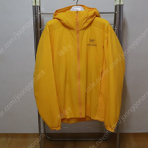 Arc'teryx Atom Hoody(LT) Jacket Edziza(아크테릭스 아톰 후디(LT) 재킷, 넬슨 정품)