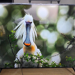 삼성 75인치 UHD Smart TV 신품액정