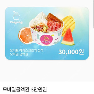 요거트아이스크림의정석 요아정 3만원권