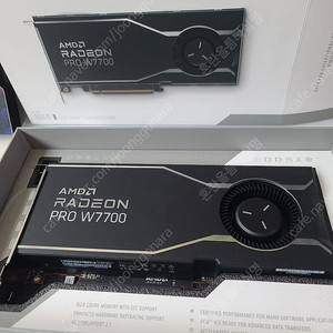 AMD 라데온 RADEON PRO W7700 16gb