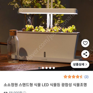 오늘구매시 이사정리 ㅜㅜ 소소정원 식물 LED스텐드 3만원