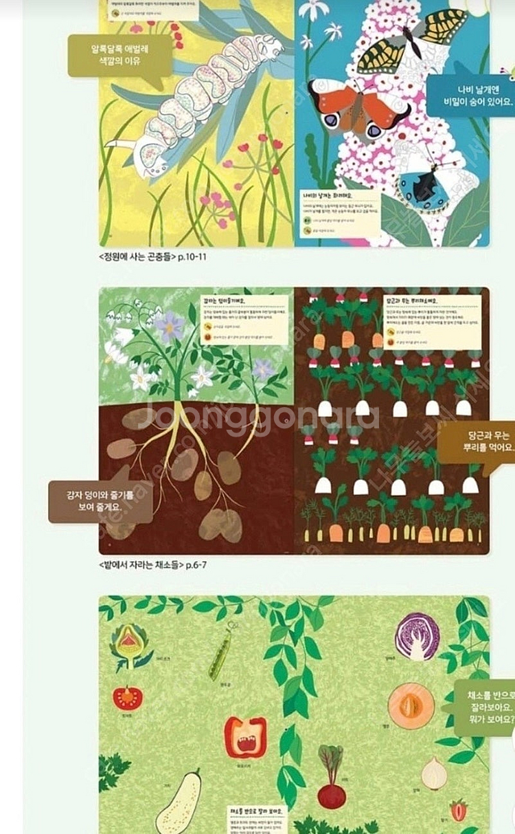 별똥별 나의 자연 수첩 미개봉 급처분--2