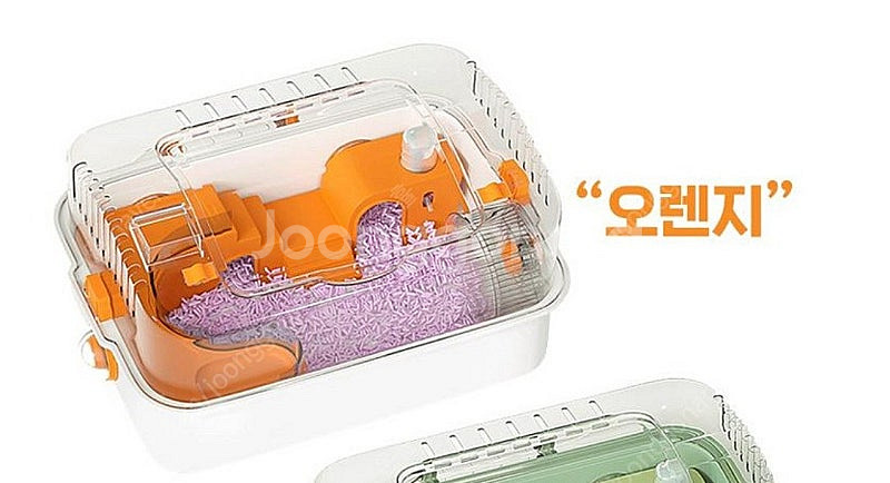 햄스터 케이디 오렌지--0