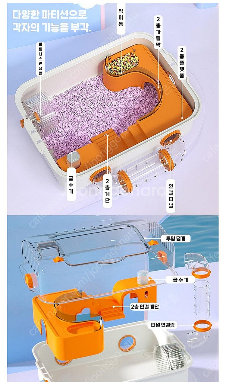 햄스터 케이디 오렌지--1