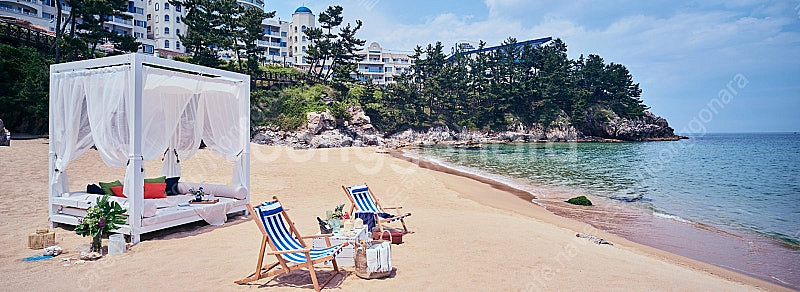 삼척쏠비치리조트 8월 11,12일 가실 분!--0