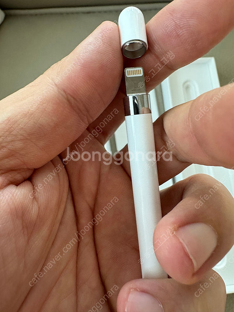 애플펜슬 1세대 정품 젠더 포함--1