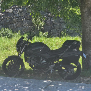스즈키sv650