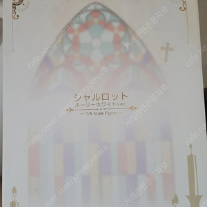 비브라스타 샬롯 홀리 화이트