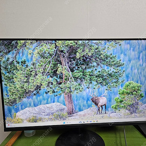 화봄 60cm (24) FHD 100Hz 모니터 HB240F100