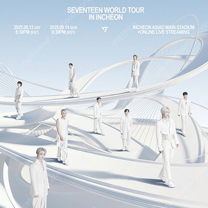 세븐틴 seventeen 콘서트 댈티 해드립니다