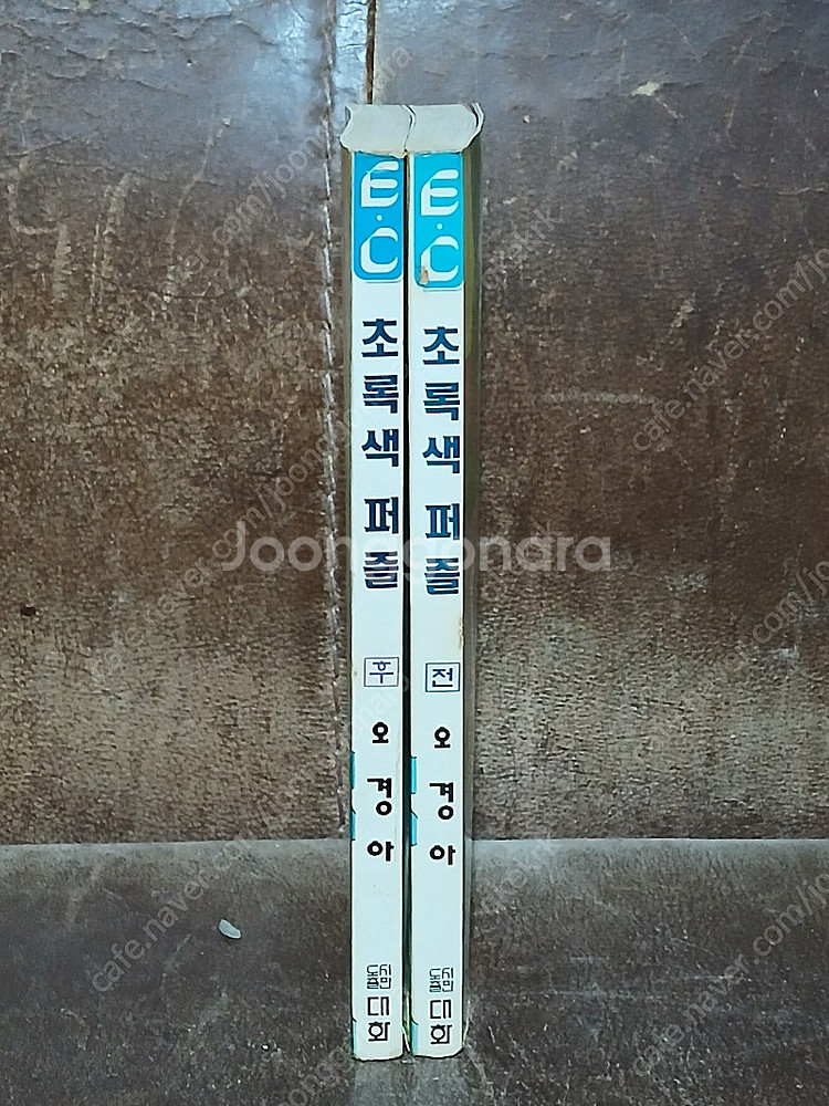 (대여점용) 청춘의 시간 초록색퍼즐 어항속의하늘(오경아...--1