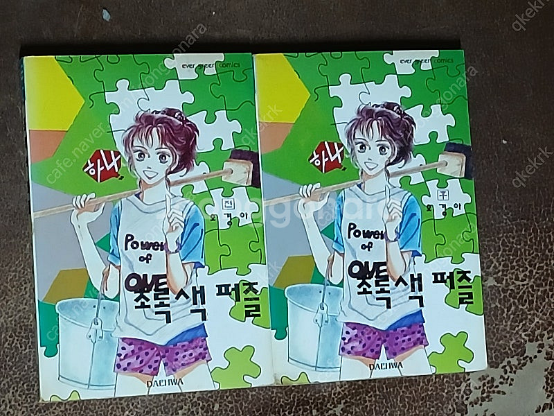 (대여점용) 청춘의 시간 초록색퍼즐 어항속의하늘(오경아...--3