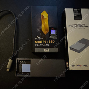 P31 2tb + 아모란나 인클로저