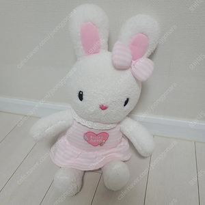 자장자장콩지래빗