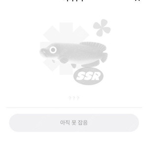 피라루크삽니당