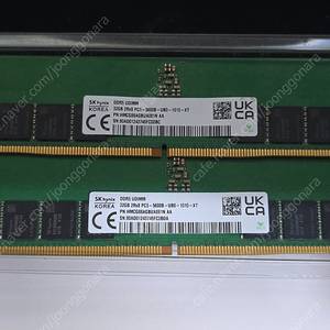 SK하이닉스 DDR5-5600 A다이 언락 64GB (32GB x 2개) 택포21만원
