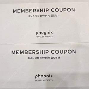 휘닉스파크 블루캐니언 종일권