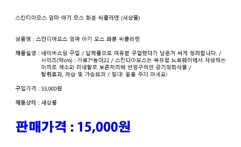 스칸디아모스 공기정화 트리 이끼 화분 몇개 정리합니다.--1