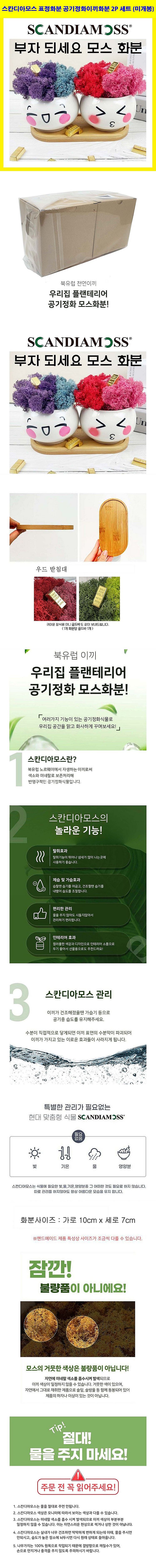 스칸디아모스 공기정화 트리 이끼 화분 몇개 정리합니다.--4