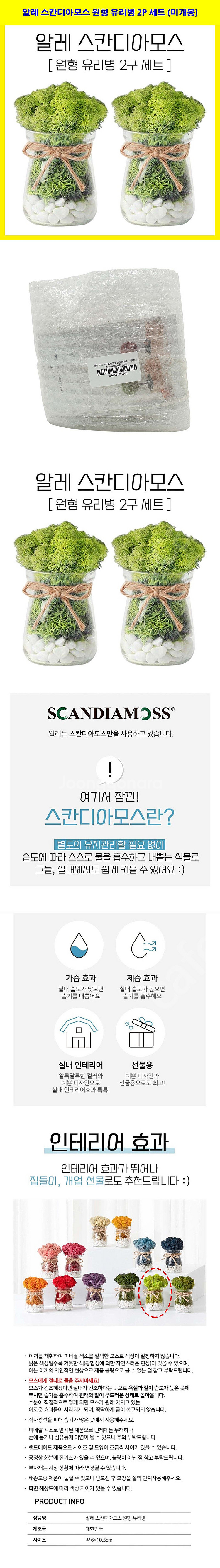 스칸디아모스 공기정화 트리 이끼 화분 몇개 정리합니다.--6
