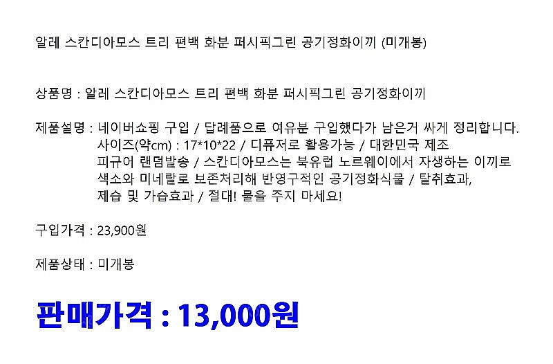 스칸디아모스 공기정화 트리 이끼 화분 몇개 정리합니다.--7