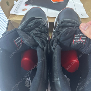 [285]조던11 브레드