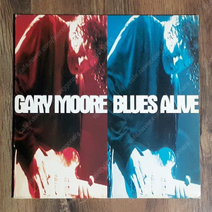 라이센스 엘피 LP - Gary Moore - Blues Alive, 2 LPS (1993년/EMI 계몽사)