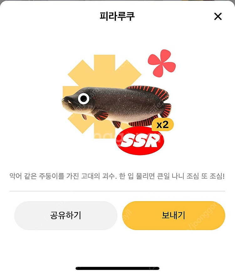 틱톡라이트 피라쿠쿠--0