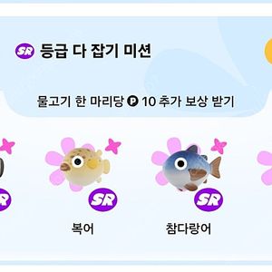틱톡 낚시 ( sr등급 모두 일괄 900원)