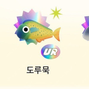 틱톡 틱톡라이트 도루묵 2만원 팝니다 바로전송
