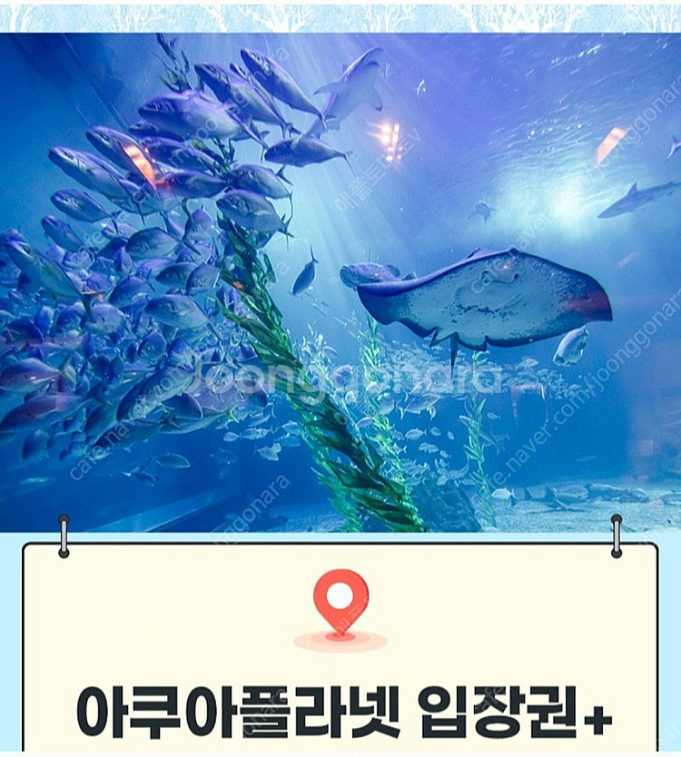제주/ 여수/ 광교/ 일산 아쿠아플라넷 아쿠아리움 모바...--0