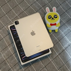 애플 M2 아이패드 프로 11 4세대 실버 128GB WIFI