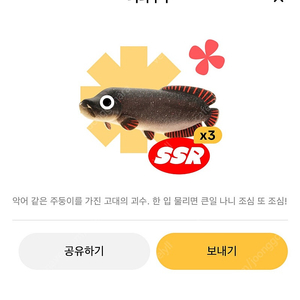틱톡라이트 피라쿠쿠