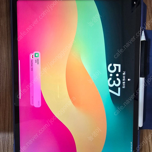 아이패드 프로 iPad Pro 12.9 5세대 256GB 셀룰러(펜슬포함)
