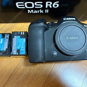 [부산] 캐논 알육막투 알아빠 백사투 바디 렌즈 정리 r6 mark2 ef 100-400 rf 70-200