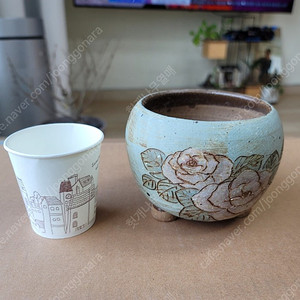 다육이 화분1개