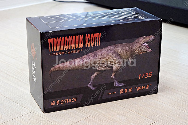 16번작업실 티라노사우루스 스코티 공룡 피규어/모형--0