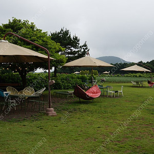 소니 a7m2 ,렌즈 24 70 Z 조합 구매합니다