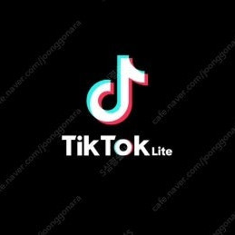 틱톡라이트 출금 인증(문자) 구매합니다