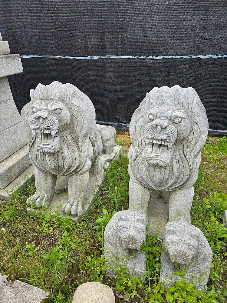 화강암 사자 2마리--1