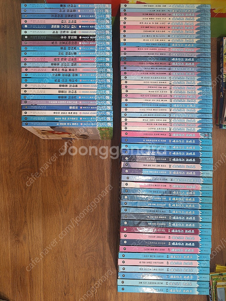 비룡소 마법의 시간여행 53권+지식탐험 23권 / 신기...--0