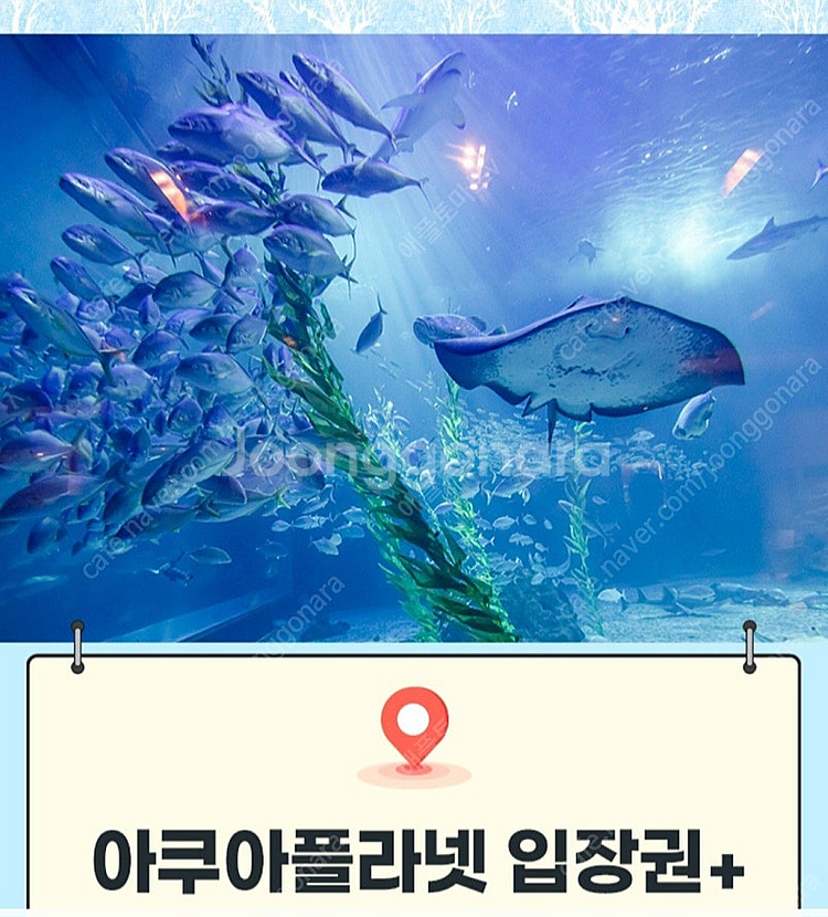 제주/ 여수/ 광교/ 일산 아쿠아플라넷 아쿠아리움 모바...--0